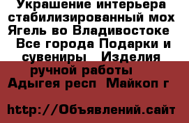 Украшение интерьера стабилизированный мох Ягель во Владивостоке - Все города Подарки и сувениры » Изделия ручной работы   . Адыгея респ.,Майкоп г.